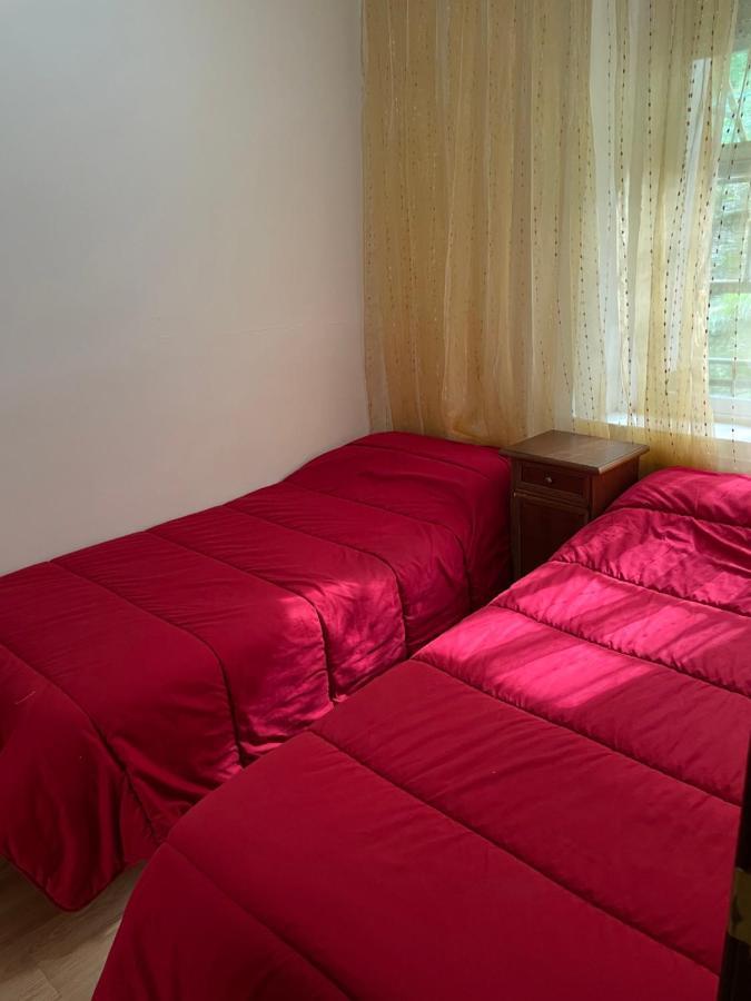 Hostal El Nuevo Salau 쿠딜레로 외부 사진